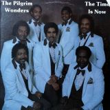 The Pilgrim Wonders – The Time Is Now – Church Door LP