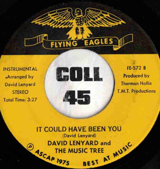 DavidLenyard-ItCouldHaveBeenYouLABELB