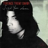 Terence Trent D’Arby – Sign Your Name b/w Greasy Chicken – CBS FR 7″