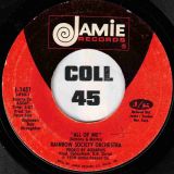 Rainbow Society Orchestra – All Of Me b/w All Of Me (Disco) – Jamie 7″