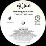 Solé – It Wasn’t Me (Remix) – Dreamworks DJ 12