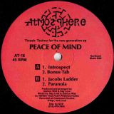 Peace Of Mind – Thrash: Techno For The New Generation EP – Atmosphere 12″