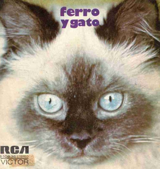 Rafael Ferro Y Su Orquesta - Ferro Y Gato b/w Luz De Gas - RCA ESP 7"