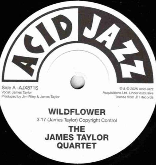 The James Taylor Quartet - Wildflower b/w Guiding Light - Acid Jazz UK 7"