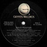 David Peaston – We’re All In This Together – Geffen DJ 12″