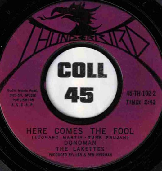 The fool