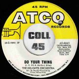 The Delights Orchestra – King Of The Horse b/w Do Your Thing – ATCO 7″