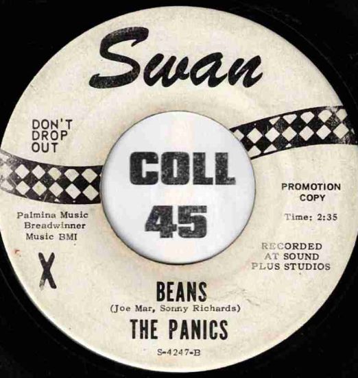 The Panics - Beans b/w Show Her You Care - Swan DJ 7"