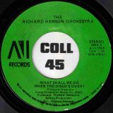 The Richard Hewson Orchestra – What Shall We Do When The Disco’s Over? b/w Touch My Love – AVI 7″