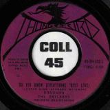Donoman – Do You Know (Everything ‘Bout Love) b/w Here Comes The Fool – Thunderbird 7″