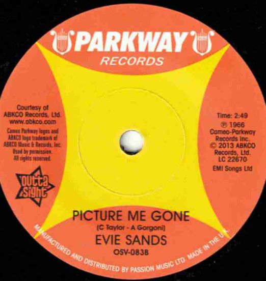 evie sands gone