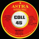 Pure Gold – Sweet Summertime b/w Enchanted – Astra 7″