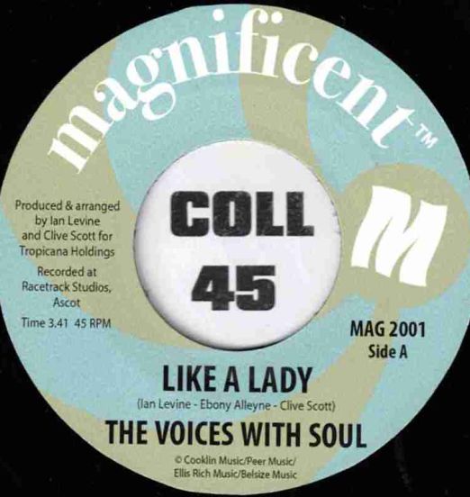 The Voices With Soul - Like A Lady b/w	Walking Back From Nowhere - Magnificent AT 7"