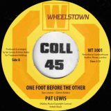 Pat Lewis – The Bottle b/w One Foot Before The Other – Wheelstown AT 7″