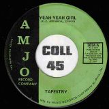 Tapestry – Yeah Yeah Girl b/w Big Fool – Amjo 7″