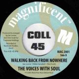 The Voices With Soul – Like A Lady b/w	Walking Back From Nowhere – Magnificent AT 7″