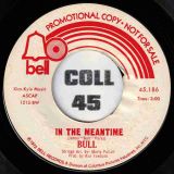 Bull – Bygones b/w In The Meantime – Bell DJ 7″