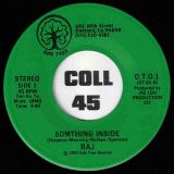 Raj – Something Inside b/w Dance What You Feel Like – Oak Tree 7″