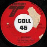 The Dynamic Tints & Pieces Of Peace Orchestra – Be My Lady / Rosemarie – Twinight 7″