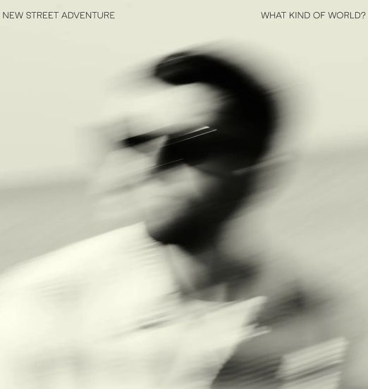 New Street Adventure - What Kind Of World - Acid Jazz UK CD