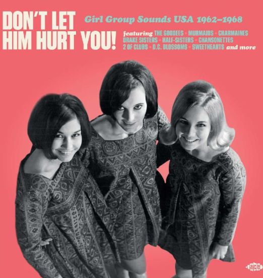 VA - Don't Let Him Hurt You! Girl Group Sounds USA 1962-1968 - Ace UK LP