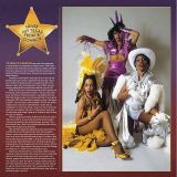*JUST IN!* The Brides Of Funkenstein – Never Buy Texas From A Cowboy – BGP UK LP