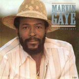 Marvin Gaye – Sanctified Lady b/w Instrumental – CBS UK 7″