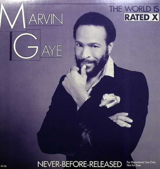 Marvin Gaye - The World Is Rated X - Motown DJ 12"
