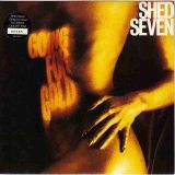 Shed Seven – Going For Gold b/w Making Waves – Polydor UK 7″