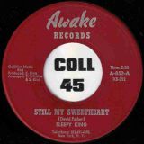 Sleepy King – Still My Sweetheart b/w Rock Rock – Awake 7″