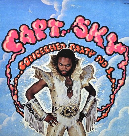 Captain Sky - Concerned Party - TEC LP
