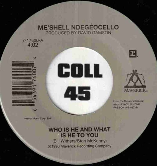Me'Shell Ndegéocello - Who Is He And What Is He To You b/w Leviticus: Faggot - Maverick 7"