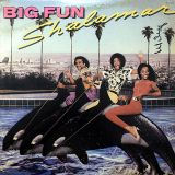 Shalamar – Big Fun – Solar LP