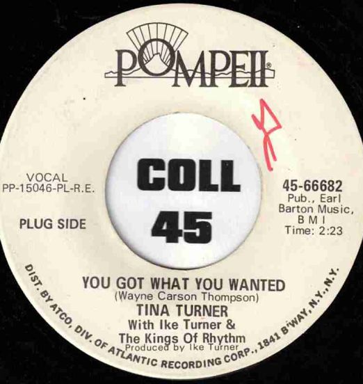 Tina Turner - You Got What You Wanted b/w Too Hot To Hold - Pompeii DJ 7"