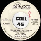 Tina Turner – You Got What You Wanted b/w Too Hot To Hold – Pompeii DJ 7″