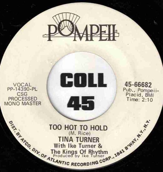 TinaTurner-YouGotWhatIWantedLABELB