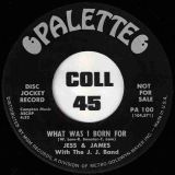 Jess & James With The J. J. Band – Move b/w What Was I Born For – Palette DJ 7″
