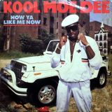 Kool Moe Dee – How Ya Like Me Now – Jive LP