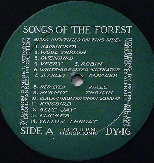 PeterKilhamandAlfred L.Hawkes-SongsOfTheForest-DrollYankeesLPLABELA01