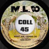 Sho-Nuff – What Am I Gonna Do b/w Dancin’ Funn – Malaco 7″