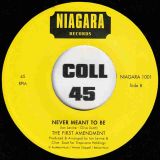 The First Amendment – One Day Nearer b/w Never Meant To Be – Niagara UK 7″