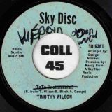 Timothy Wilson – These Are The Things That Make Me Know She’s Gone b/w Ta Ta (Instrumental) – Sky Disc 7″