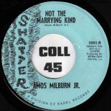 Amos Milburn Jr. – I Don’t Want To Go b/w Not The Marrying Kind – Shatter 7″