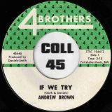Andrew Brown – If We Try b/w You Ought To Be Ashamed – 4 Brothers 7″