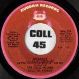 The Cecil Holmes Soulful Sounds – Superfly b/w Ben – Buddah 7″