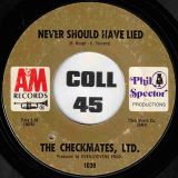 The Checkmates Ltd. – Love Is All I Have To Give b/w Never Should Have Lied – A&M 7″