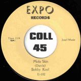Bobby Kool – Mini Skirts b/w Mole Skin – Expo 7″