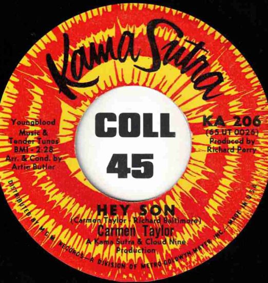 CarmenTaylor-HeySon-KamaSutra45LABELA01