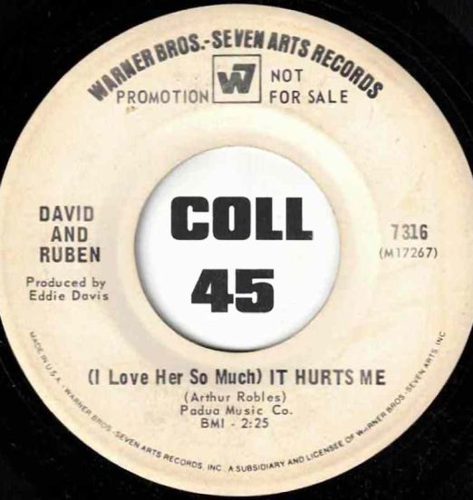 David & Ruben - (I Love Her So Much) It Hurts Me b/w The Girl In My Dreams - Warner Bros DJ 7"