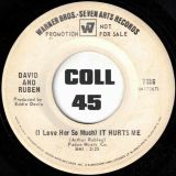 David & Ruben – (I Love Her So Much) It Hurts Me b/w The Girl In My Dreams – Warner Bros DJ 7″